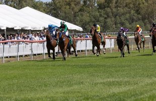 Moree Twilight Races 2025